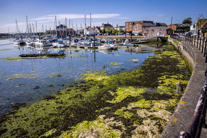 Photo 7- click for photo gallery